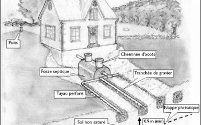 Champ d’épuration
